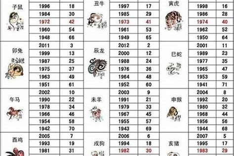 65歲屬什麼生肖|65岁属什么生肖